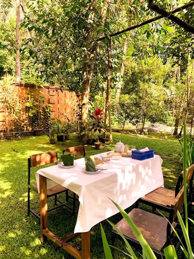 a table set up on the grass in a backyard with a fence in the background