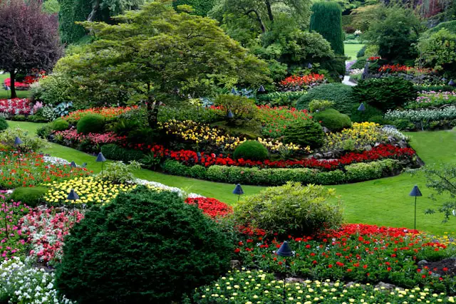 a vibrant garden of flowers and manicured lawn